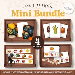 Estudio de unidad de mini paquete OTOÑO / Hoja de trabajo de actividades de otoño inspirada en Montessori para prekínder y jardín de infantes / Tema de otoño