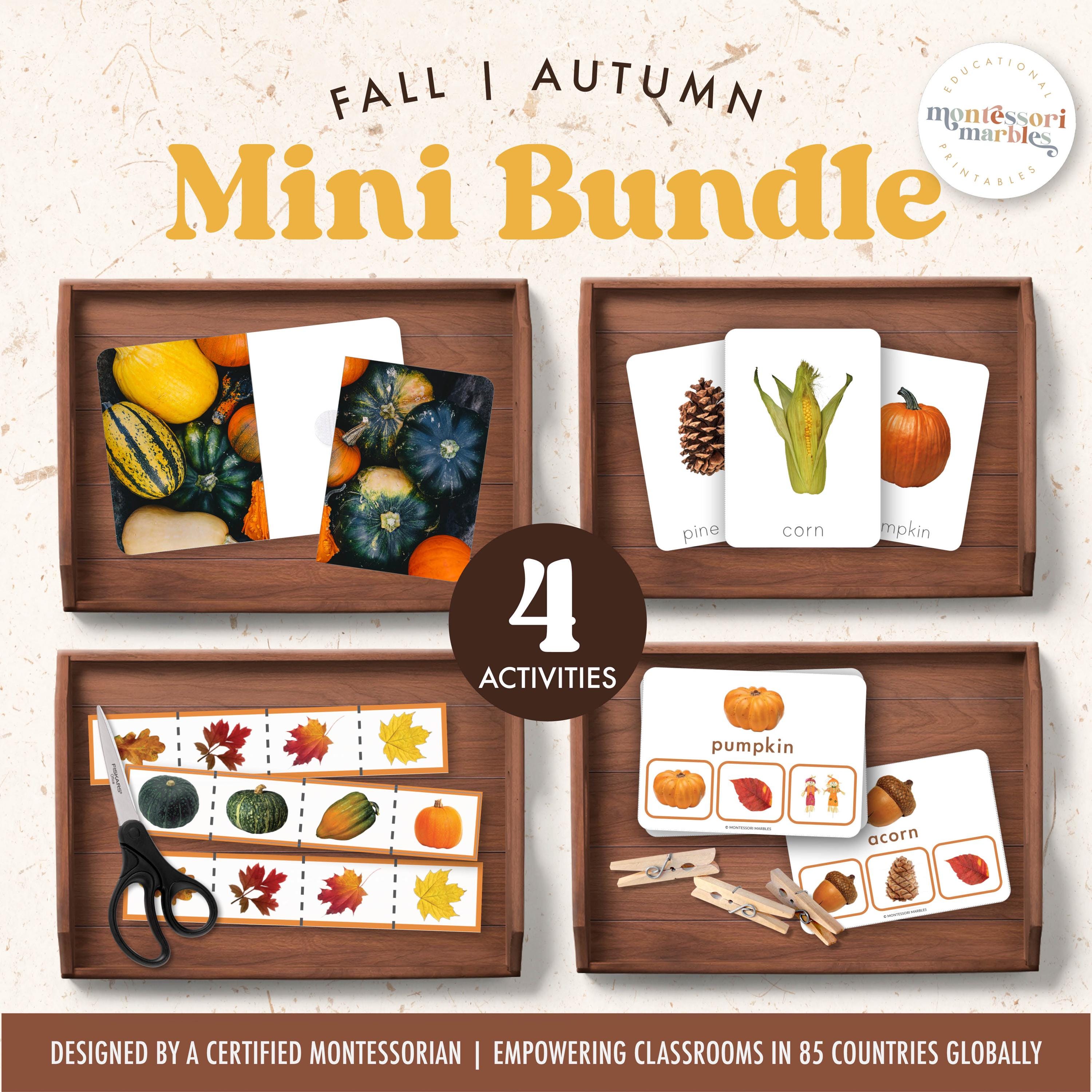 Fall Montessori Activity Mini Bundle | Preschool Learning Set | Cutting ...