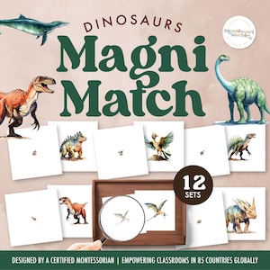 Jeu d'associations grossissants DINOSAURES | Montessori à la maison à l'aide d'une loupe | Activité pour le préscolaire et la maternelle