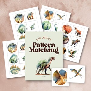 Dinosaur Pattern Matching Puzzle | Montessori Visual Discrimination ...