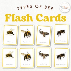 Tarjetas didácticas de ABEJAS / Tarjetas de vocabulario inspiradas en Montessori / Actividades preescolares de primavera / Tarjetas didácticas basadas en la naturaleza con imágenes reales