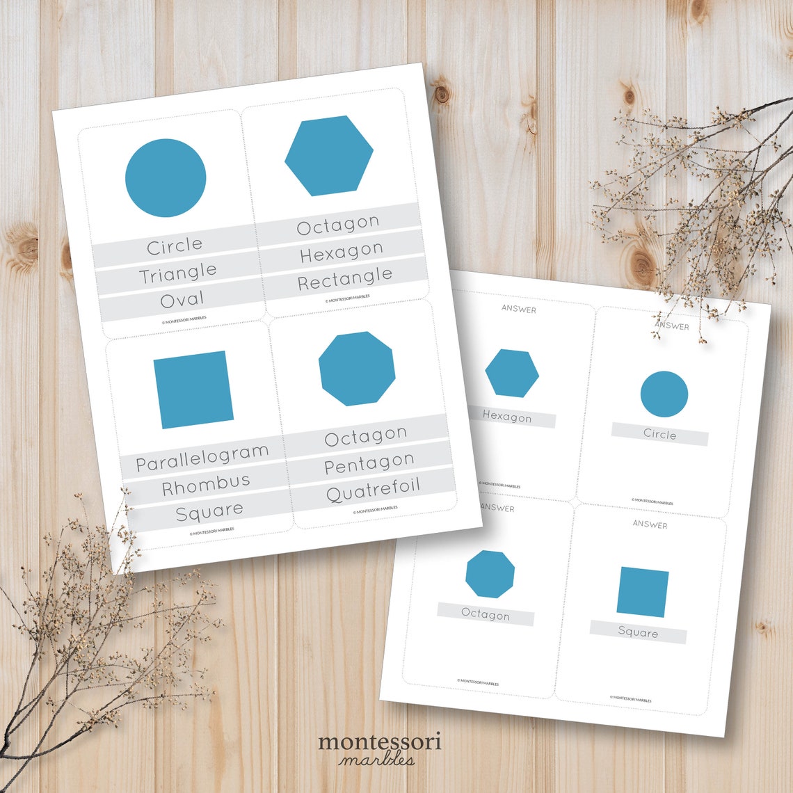 Shapes Quiz Flash Cards for Math Printable Activity Worksheet Etsy