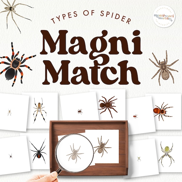 SPIDERS Magnifying Matching Game | Montessori at Home Using Magnifying Glass | Fall Activity for Preschool & Kindergarten