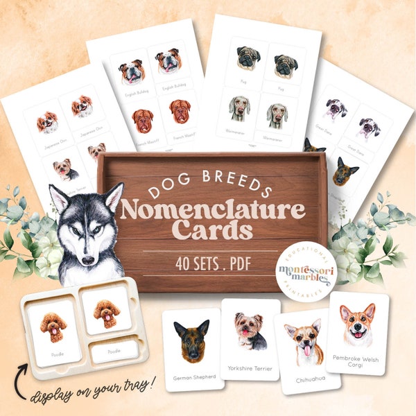 DOGS Nomenclature Cards | Types of Dogs & Dog Breeds | Pets | Montessori Printable Resources for Schools and Homeschools