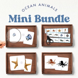 Ocean Animals Activity Bundle: Montessori Fine Motor Skills (Digital Download)