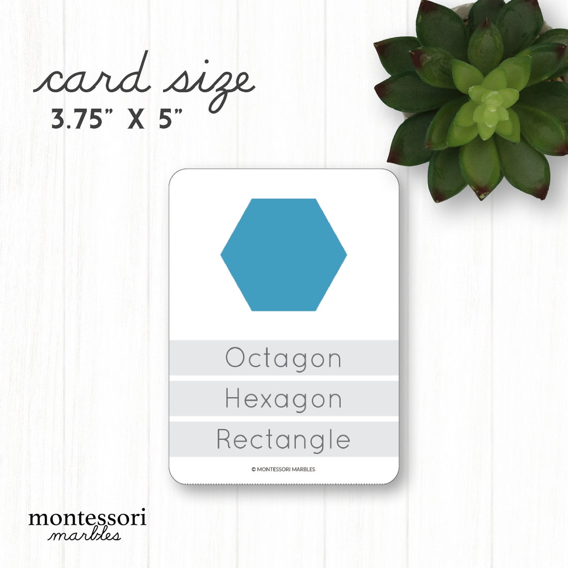 Shapes Quiz Flash Cards for Math Printable Activity Worksheet Etsy