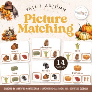 DANKESCHÖN & FALL Bild Passende Aktivität | Clip Card Aktivität für visuelle Fähigkeiten | Vokabeltrainer für Herbst und Herbst