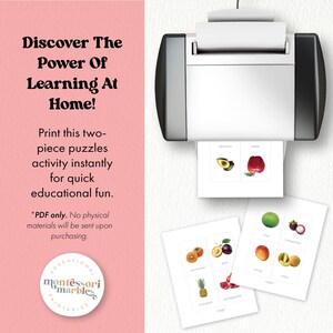 FRUITS Flash Cards | Montessori Inspired Resources With Real Pictures ...