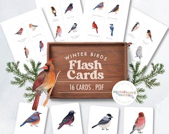 May include: A set of 16 printable flash cards featuring watercolor illustrations of winter birds. The cards include the names of each bird, such as Eastern Bluebird, Rosy Finch, Black Capped Chickadee, and Hoary Redpoll. The cards are labeled "Winter Birds Flash Cards 16 Cards. PDF".
