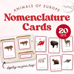 ANIMALS OF EUROPE Montessori Nomenclature Cards | Nature-Based Learning for Preschool and Kindergarten | Montessori Primary Age 3 to 6
