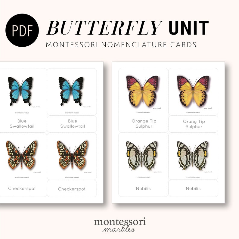 BUTTERFLY Montessori Nomenclature Cards Types of Butterflies Etsy