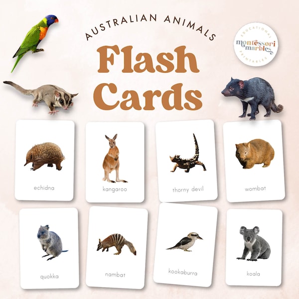 AUSTRALIAN ANIMALS Flash Cards | Montessori Inspired Learning Resources | Australia