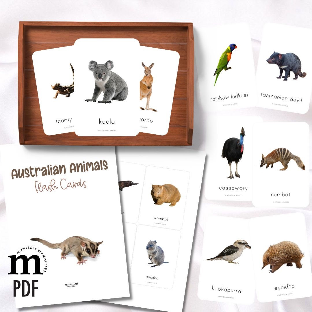 AUSTRALIAN ANIMALS Flash Cards Montessori Inspired Learning Resources