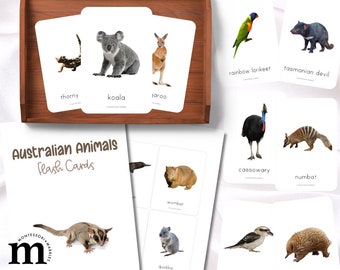 AUSTRALIAN ANIMALS Flash Cards | Montessori Inspired Learning Resources | Australia