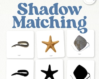 Ocean Animals Shadow Matching Game | Montessori Science | Visual Skills Sea Animals Ages 3-6 | Printable PDF