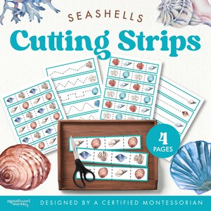 Seashells Cutting Strips Ages 2-5 | Scissors Practice Activities 4 Pages | Fine Motor Skills Development