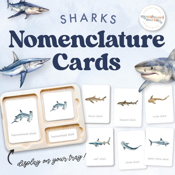 SHARKS Nomenclature Cards | Types of Sharks | Watercolor Sharks Flash Cards | Montessori Inspired  Printable for Kids | Shark Week Printable