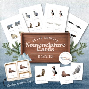 Tarjetas de nomenclatura de ANIMALES POLARES / Animales del Ártico / Tarjetas Montessori de 3 partes de animales de invierno / Actividad de invierno para jardín de infantes