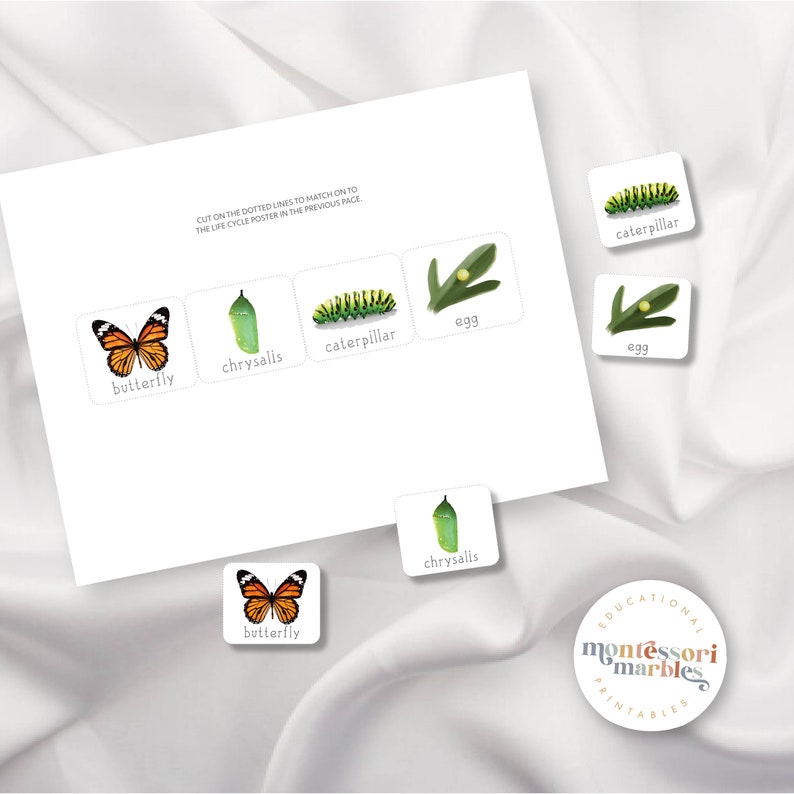 Butterfly Life Cycle 3-part Cards | Montessori Science | Sequencing ...