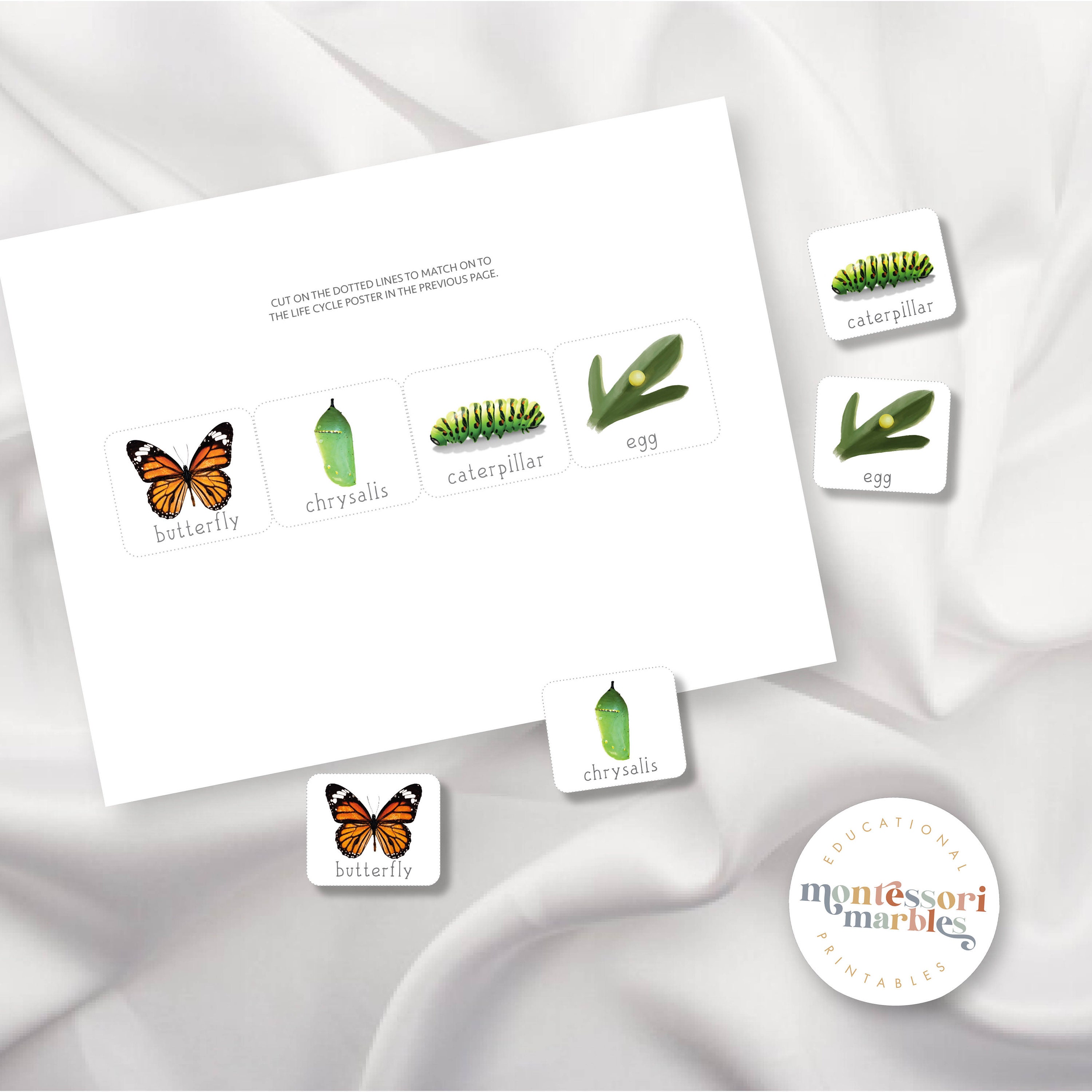 Butterfly Life Cycle 3-part Cards | Montessori Science | Sequencing ...