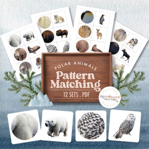 Puede incluir: Un conjunto de 12 tarjetas imprimibles de coincidencia de patrones de animales polares. Las tarjetas presentan imágenes de osos polares, pingüinos, búhos y otros animales árticos. El texto "Polar Animals Pattern Matching 12 Sets. PDF" se muestra en un letrero de madera.