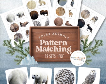 Polar Animals Pattern Matching | Montessori Science | Visual Discrimination Arctic Ages 3-6 | Printable PDF