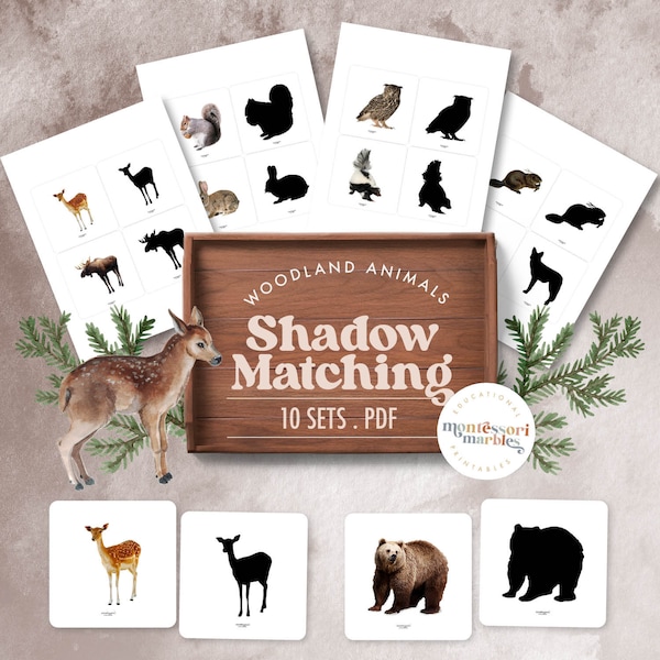 WOODLAND ANIMALS Shadow Matching | Montessori Inspired Silhouette Matching Game | Forest Animals Living in The Woods | March Theme
