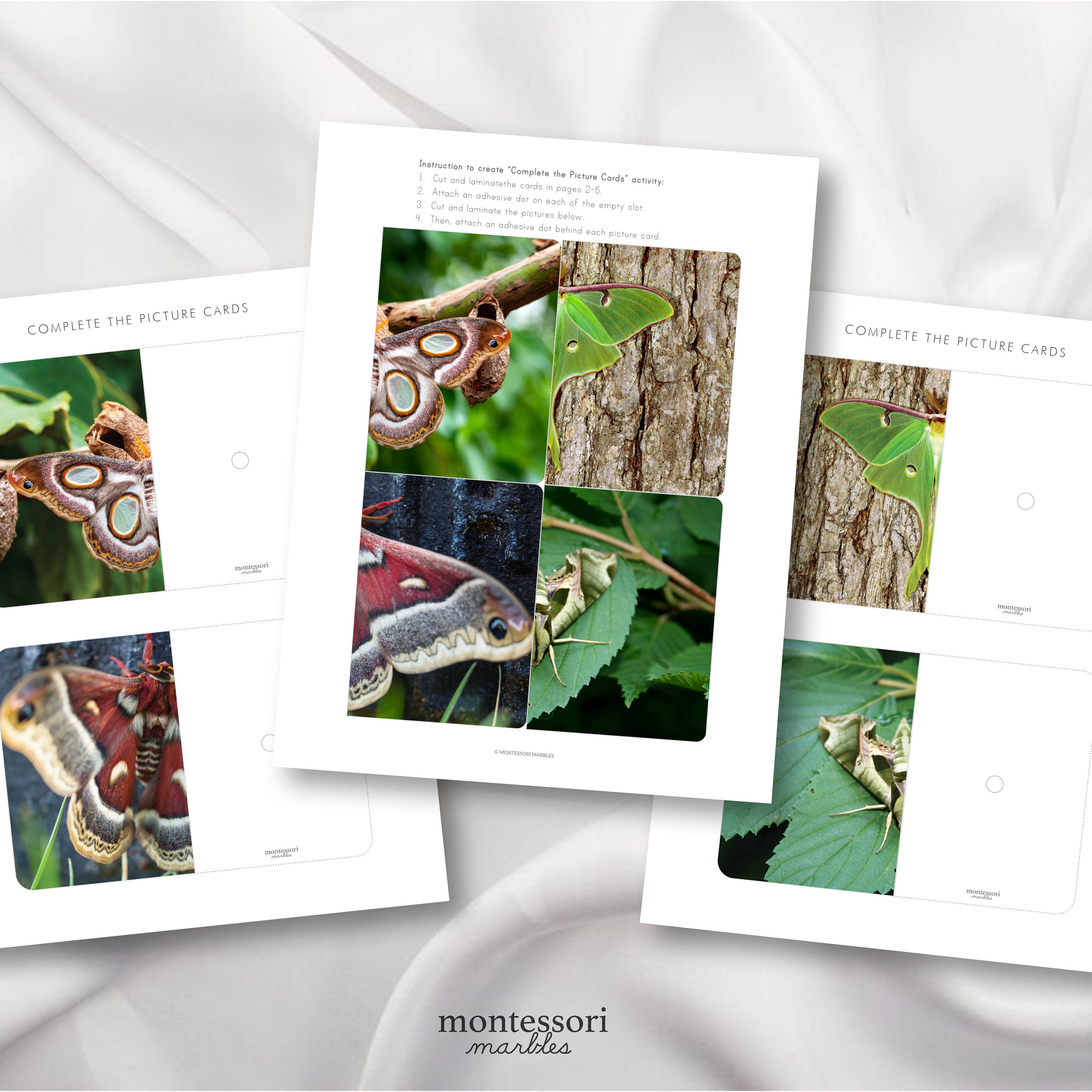 MOTHS Complete the Pictures Montessori Activity for Toddlers - Etsy