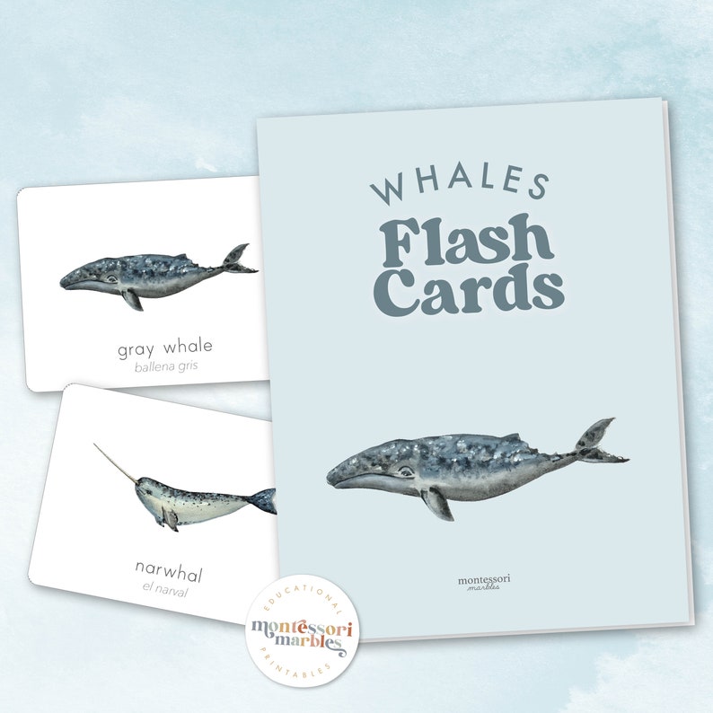 Bilingual Whales Flash Cards PDF | English Spanish 8 Species Ages 3-8 ...