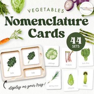 VERDURAS Nomenclatura Montessori Tarjetas de 3 partes / Tarjetas de vocabulario Primera Infancia / Actividades de la primera infancia / Recursos imprimibles Montessori