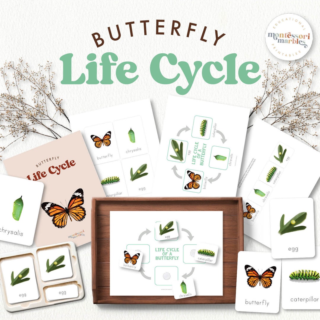 Butterfly Life Cycle 3-part Cards | Montessori Science | Sequencing ...