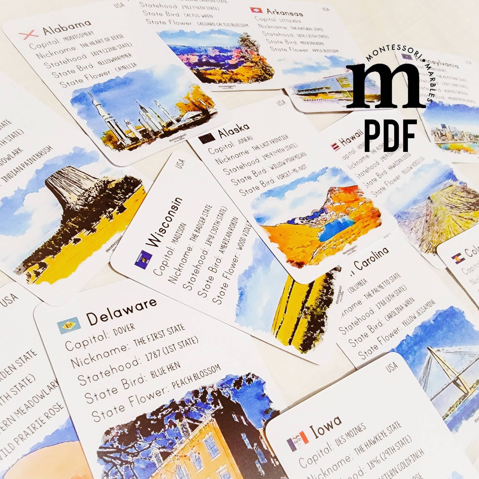 UNITED STATES Fact Cards Montessori Inspired Printable - Etsy