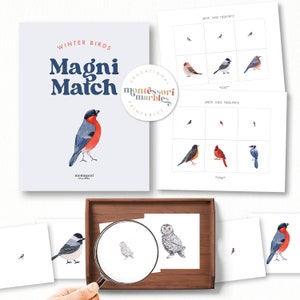 May include: A set of printable winter bird matching cards. The cards feature illustrations of different winter birds, including a cardinal, a blue jay, a robin, and a chickadee. The cards are labelled "Winter Birds Magni Match" and "Educational Montessori Marbles Printables".
