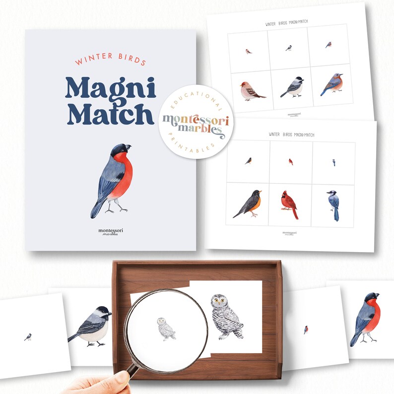 May include: A set of printable winter bird matching cards. The cards feature illustrations of different winter birds, including a cardinal, a blue jay, a robin, and a chickadee. The cards are labelled "Winter Birds Magni Match" and "Educational Montessori Marbles Printables".