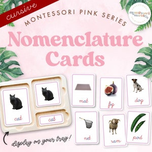 May include: A wooden tray with eight cards featuring images and words for a Montessori nomenclature activity. The words include "cat", "mat", "fig", "dog", "net", "ram", "pod".
