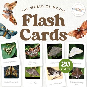 Cartões de memória MOTHS | 20 cartões de memória | Recurso de educação domiciliar inspirado no método Montessori | Cartões de memória para pré-escola | Tipos de mariposas