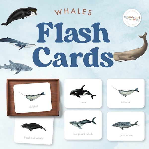 WHALES Flash Cards | Different Types of Whales | Montessori Inspired Printable for Preschool & Kindergarten | Whales Week