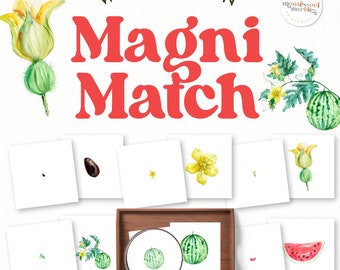 May include: Watermelon Magni Match educational game for children. The game includes cards with images of watermelon, seeds, flowers, and vines. The cards are designed to help children learn about the different parts of a watermelon plant.