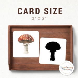 May include: Two 3x3 inch cards, one with a red and white mushroom illustration and the other with a black silhouette of the same mushroom. The cards are on a wooden tray with the text "EDUCATIONAL MONTESSORI PRINTABLES" on a circle sticker.