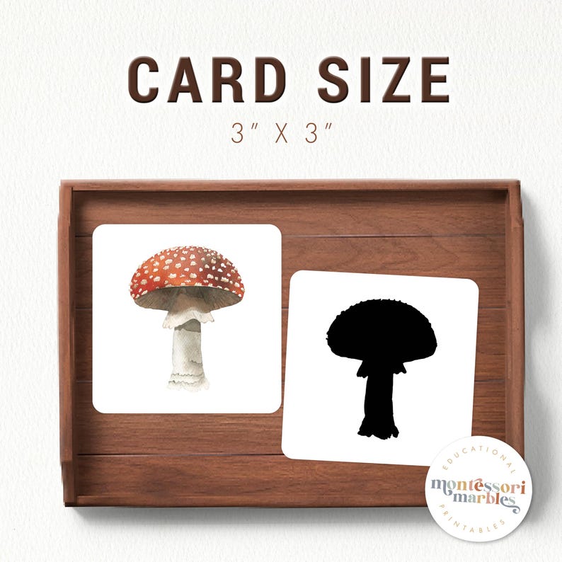May include: Two 3x3 inch cards, one with a red and white mushroom illustration and the other with a black silhouette of the same mushroom. The cards are on a wooden tray with the text "EDUCATIONAL MONTESSORI PRINTABLES" on a circle sticker.