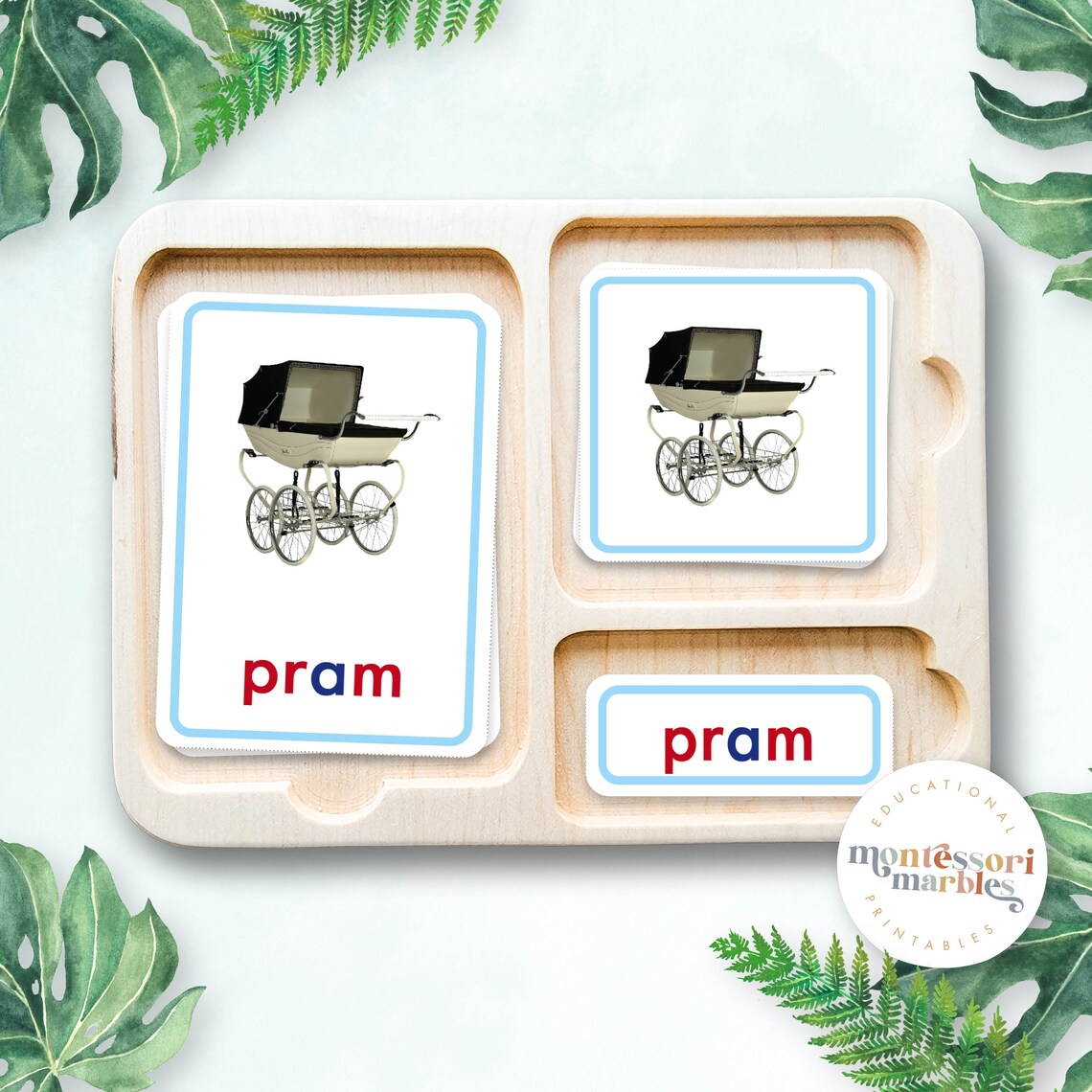 Blue Series Nomenclature Cards | Montessori Language | Consonant Blends ...