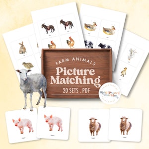 FARM ANIMALS Matching Picture Cards | Montessori Inspired Resources | At The Farm Theme Activities | Visual Skills for Preschool