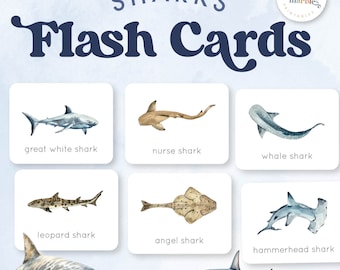 SHARKS Flash Cards | Types of Sharks | Watercolor Sharks Flash Cards | Montessori Inspired  Printable for Kids | Shark Week Printable