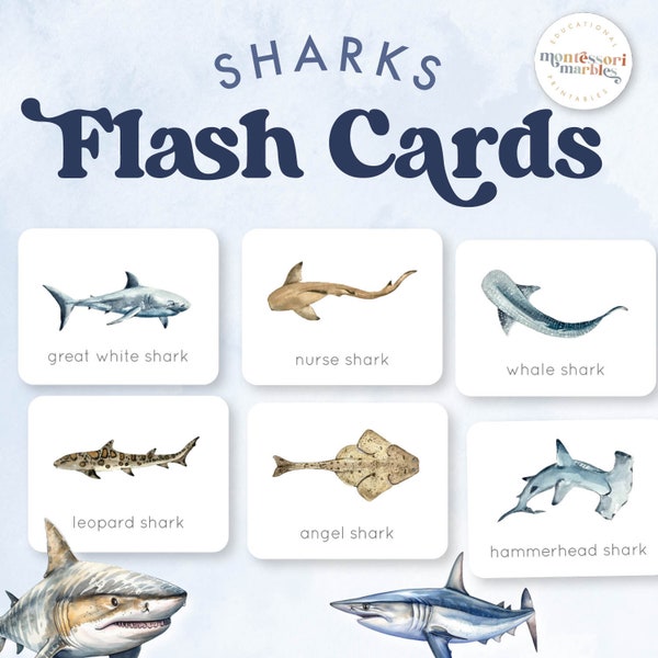 SHARKS Flash Cards | Types of Sharks | Watercolor Sharks Flash Cards | Montessori Inspired  Printable for Kids | Shark Week Printable