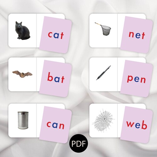 MONTESSORI PINK SERIES Pairing Cards Labelling Early Etsy