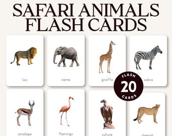 Safaridjurs-flashkort, utskrivbara Montessorikort, djurkort med riktiga foton, afrikansk savann, hemundervisning för småbarn, åldrar 3 till 6