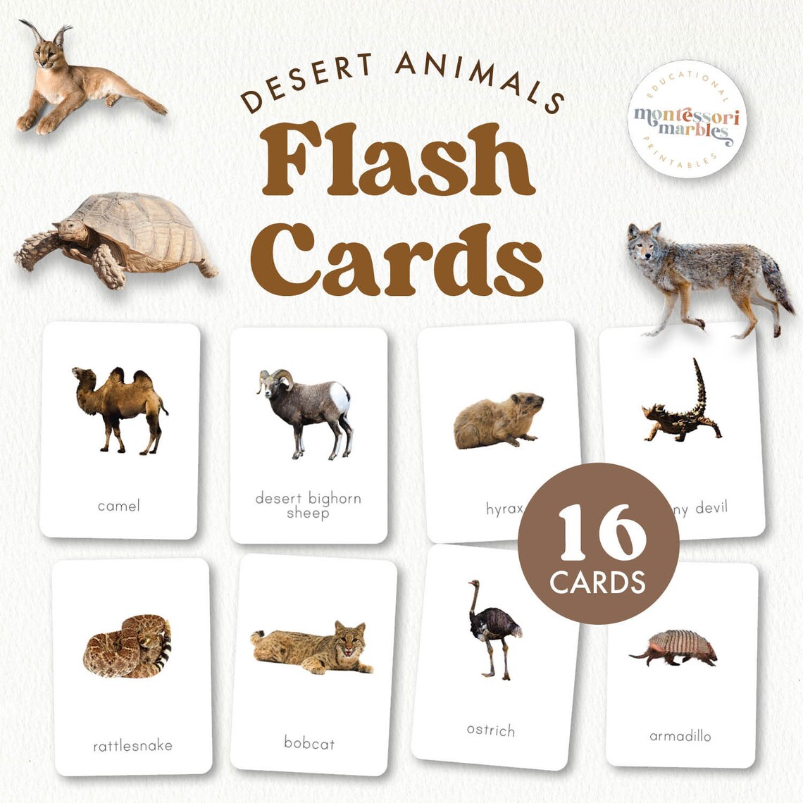 Desert Animals Flash Cards | Montessori Zoology Vocabulary | Real Photo ...