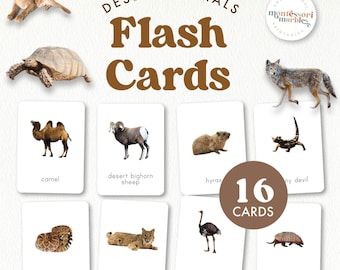Desert Animals Flash Cards | Montessori Zoology Vocabulary | Real Photo Animal Cards Printable | PDF