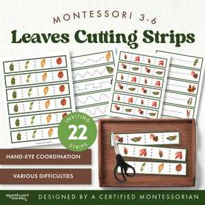 May include: Montessori educational activity set for ages 3-6. The set includes leaf-themed cutting strips with various difficulties, designed to improve hand-eye coordination. The set includes 22 strips. The text on the image says "Leaves Cutting Strips".