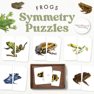 Op de afbeelding: Een set printbare kikker-symmetrie puzzels voor kinderen. De puzzels tonen verschillende soorten kikkers, waaronder groene, bruine en gele kikkers. De puzzels zijn ontworpen om kinderen te helpen symmetrie te leren en hun fijne motoriek te verbeteren.